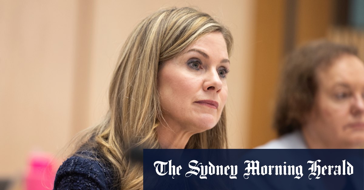 Australia social media ban backed by eSafety Commissioner Julie Inman Grant despite privacy concerns