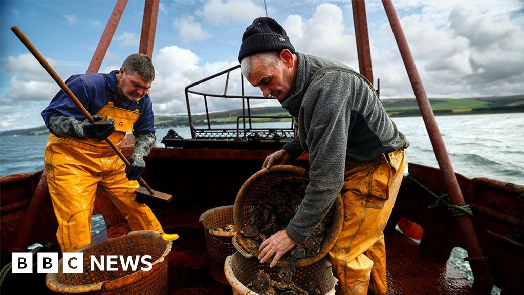 UK fishing fund offer to Scotland is 'madness', minister told