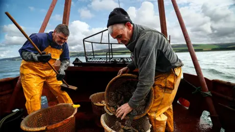 Getty Images Two fishermen in yellow overalls hunched over baskets in a boat. One is emptying crustaceans into a basket, the other is holding a broom. Green hills are in the background beyond a body of water. 
