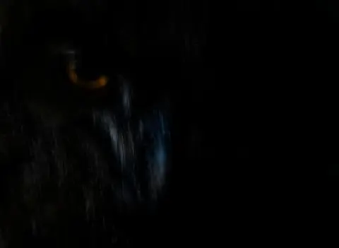 Philipp Egger Eurasian eagle owl in deep shadow, its orange eye glowing as light brushes over its dark feathers.