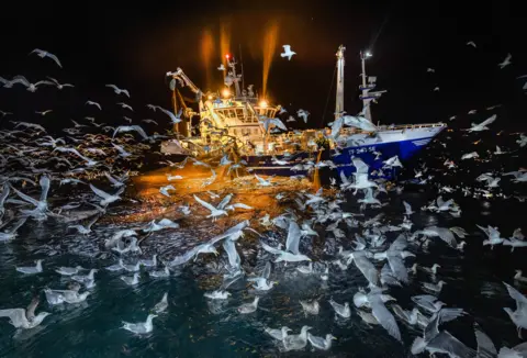 Audun Rikardsen A flock of gulls swarms around an Atlantic fishing trawler at night, the sky pitch-black except for the glow of the boat's lights.
