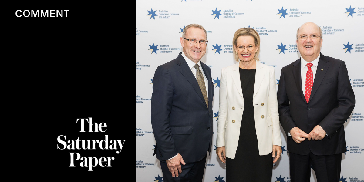 Sussan Ley and the joy of division