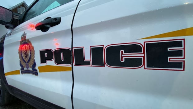 23 men arrested in 2-day Brandon sex exploitation crackdown: police