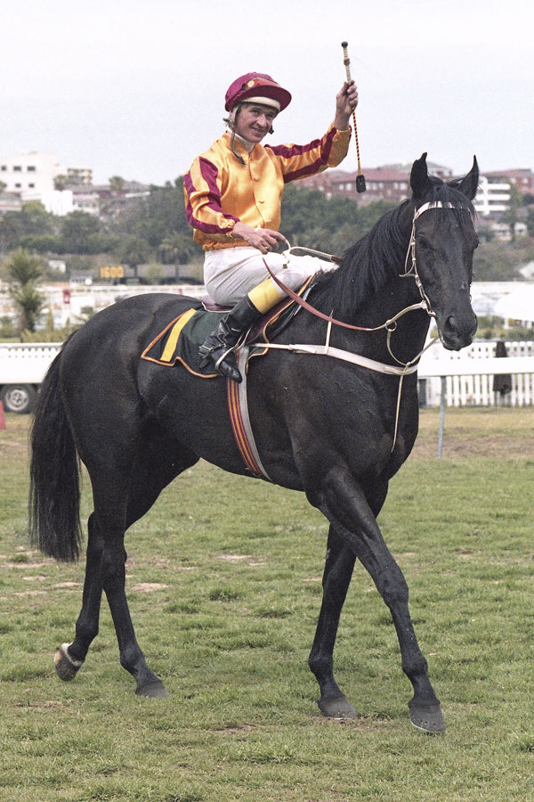 Kingston Town was the first horse to win three Cox Plates - image Bradley Photos