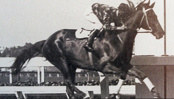 Phar Lap was the first horse to win two Cox Plates saluting in 1930 and 1931.