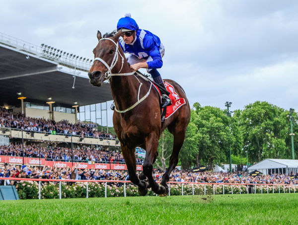 Winx is the only horse to win four Cox Plates - image Grant Courtney