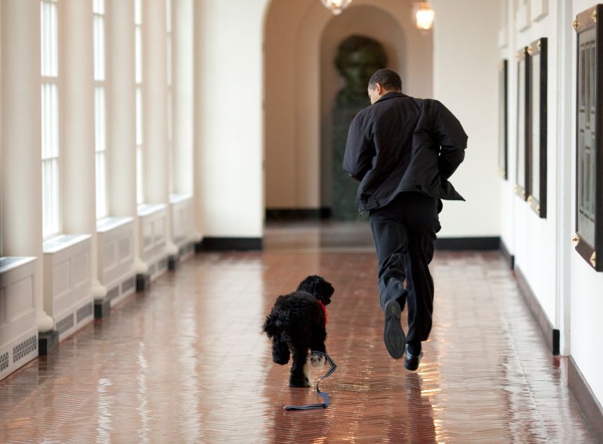 President Barack Obama runs down a corridor with the family's new dog, Bo, in the White House on April 13, 2009,