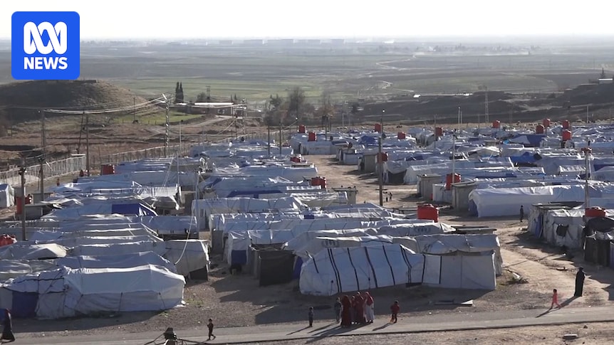 Women and children stranded in Syria return to Australia after smuggling themselves from country