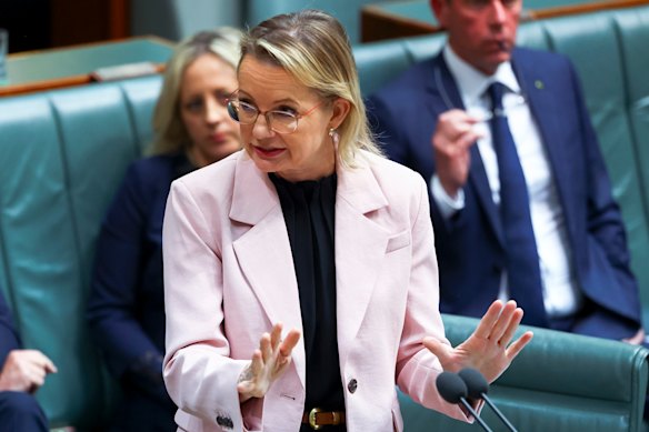 Opposition Leader Sussan Ley.