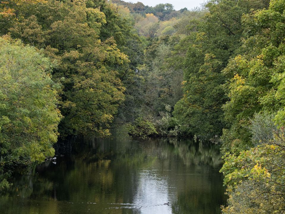 The stretch of the River Liffey at Chapelizod