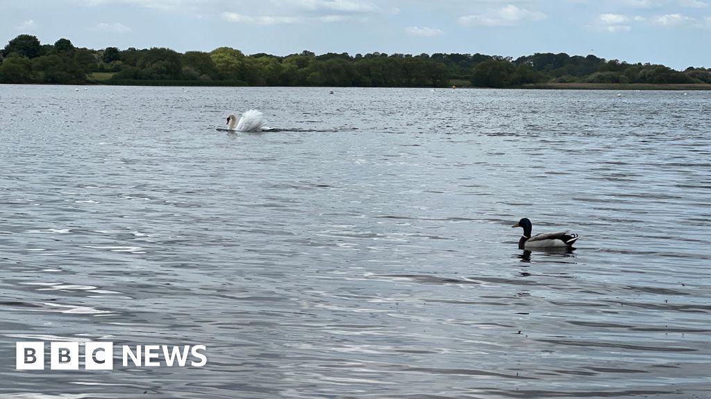 Yorkshire Water sewage leak fines to be reinvested in clean-ups