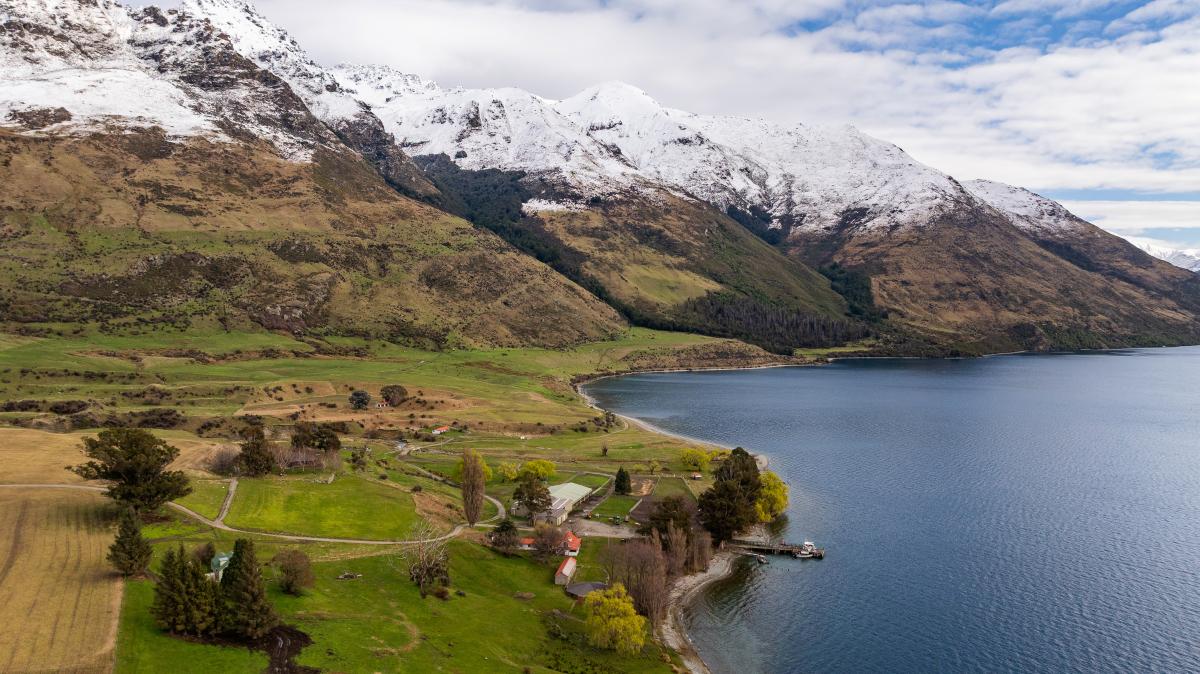 Iconic Queenstown farm valued at $33 million on market