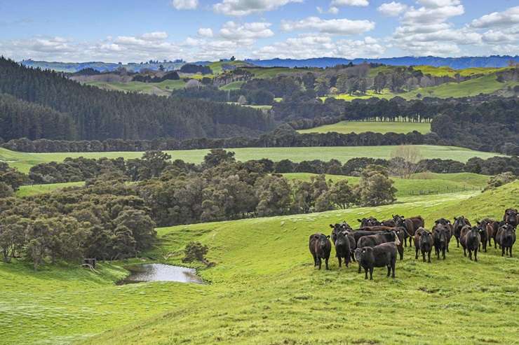 Sam Whitelock and his wife, Hannah, have put their farm, Riverbank Station, on the market for sale. Photo / Supplied