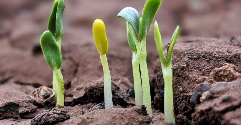 PSI Working Group for Nature launches “Breaking Ground,” second report in the “Nature Uncovered for Insurers” series – United Nations Environment – Finance Initiative