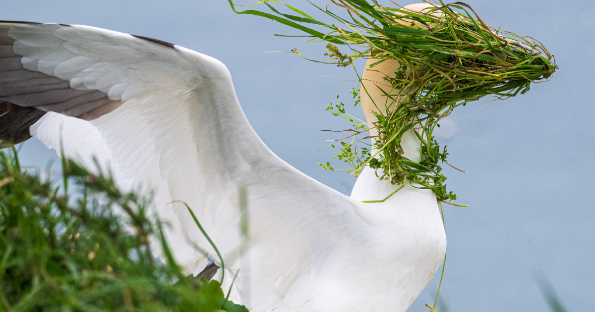 The 2025 Nikon Comedy Wildlife Awards Finalists Are Here And Nature Has Never Been Funnier (40 Pics)