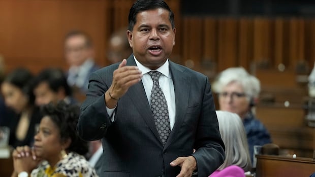 Government to table new border bill amid privacy concerns over C-2: sources