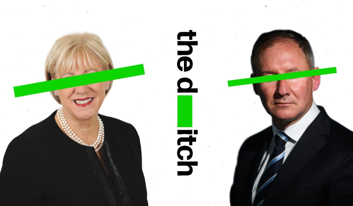 Unlawful election ballot gives FG, FF undue advantage