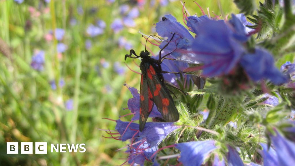 Biodiversity in Shinfield to be boosted in £1m project