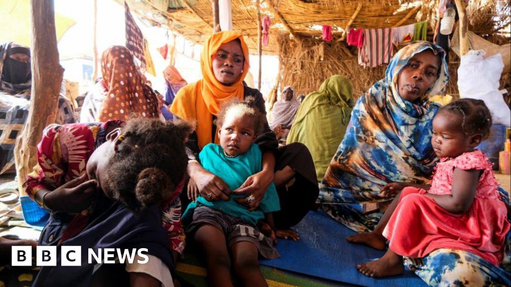 Dozens killed in drone strike in besieged Sudan city