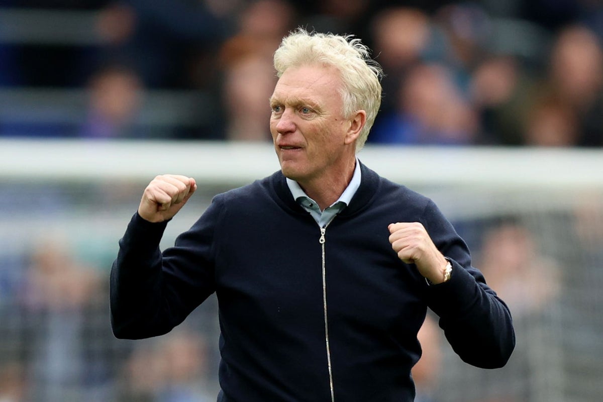 David Moyes says Crystal Palace ‘should have been 3-0 up’ before Everton winner