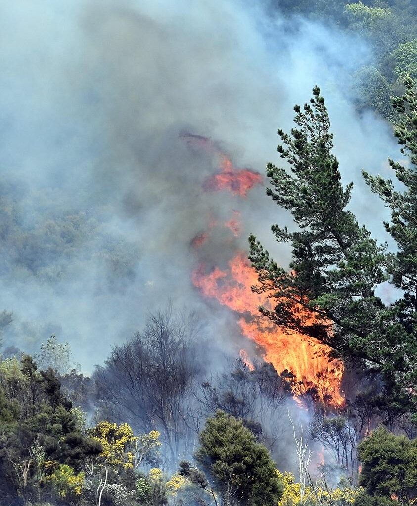 Wild weather set to continue - Otago Daily Times
