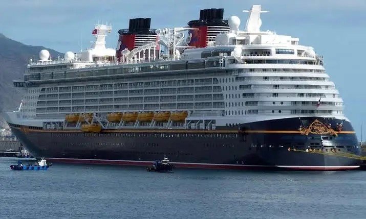 How young girl fell from Disney Cruise ship.
