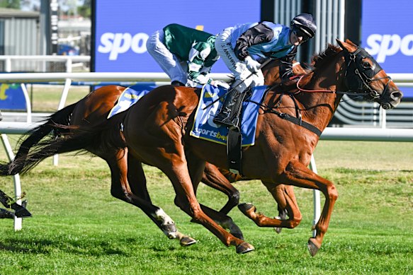 Jockey Jamie Melham will ride Caulfield Cup winner Half Yours in the Melbourne Cup.