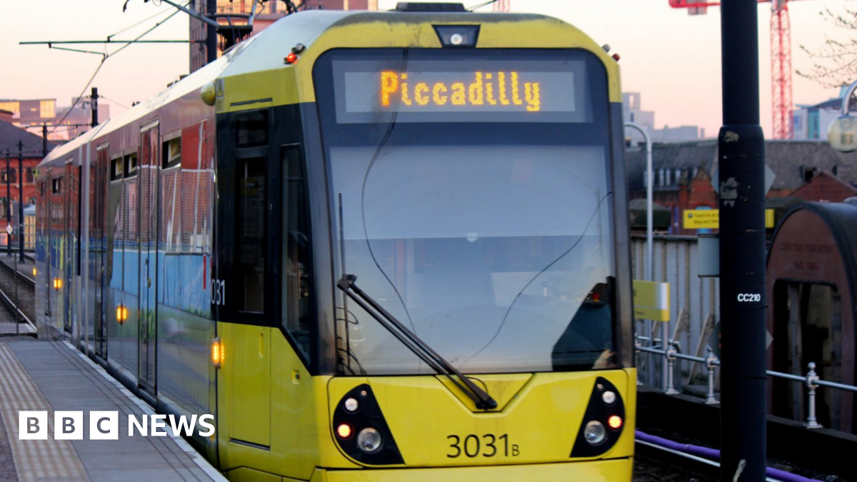 A view of tram tracks in the middle of a tree-lined street.