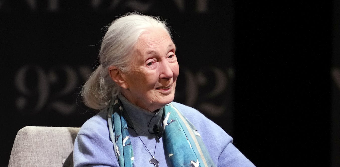 Jane Goodall, the gentle disrupter whose research on chimpanzees redefined what it meant to be human