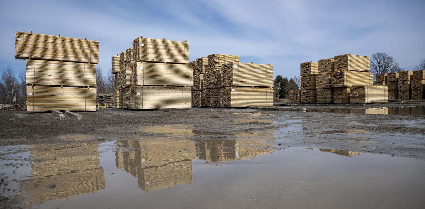 Why higher tariffs on Canadian lumber may not be enough to stimulate long-term investments in US forestry