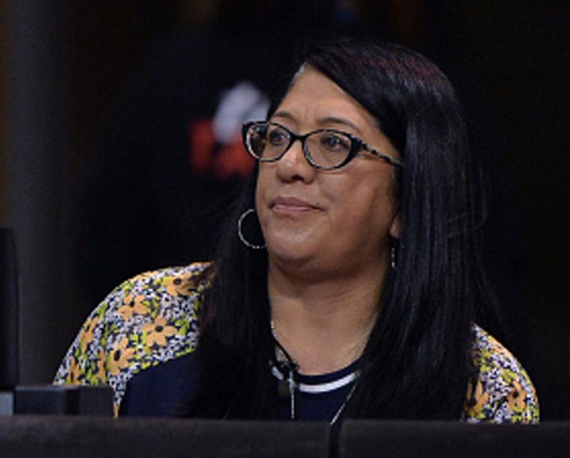 Silver Ferns selector quits, fears for coaches