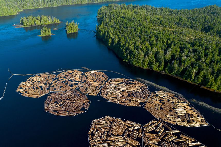 President Donald Trump has threatened to impose 10% tariffs on lumber imports beginning next week.