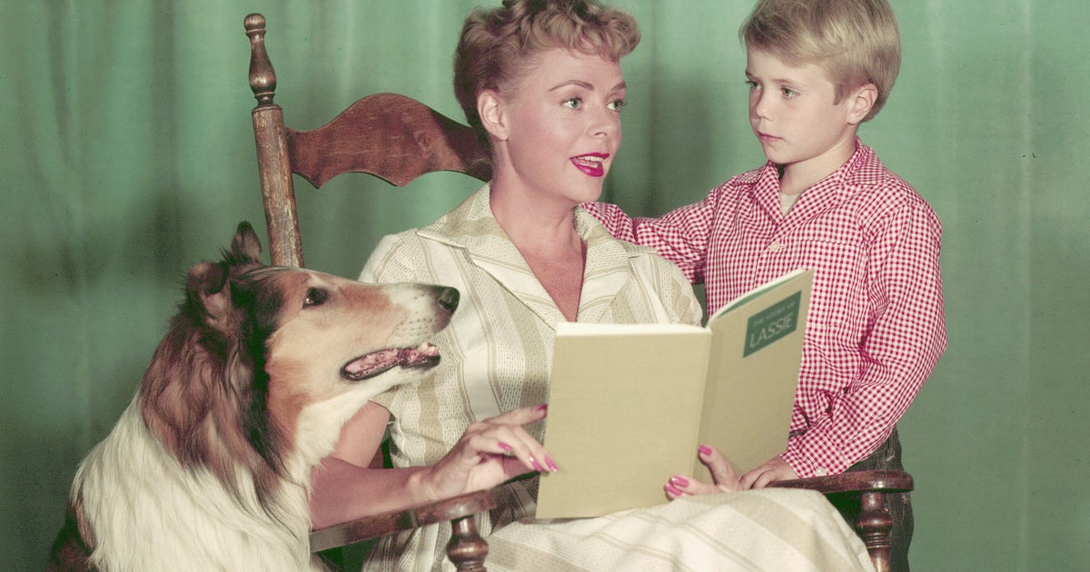 Baby, Lockhart, & Provost In 'Lassie'