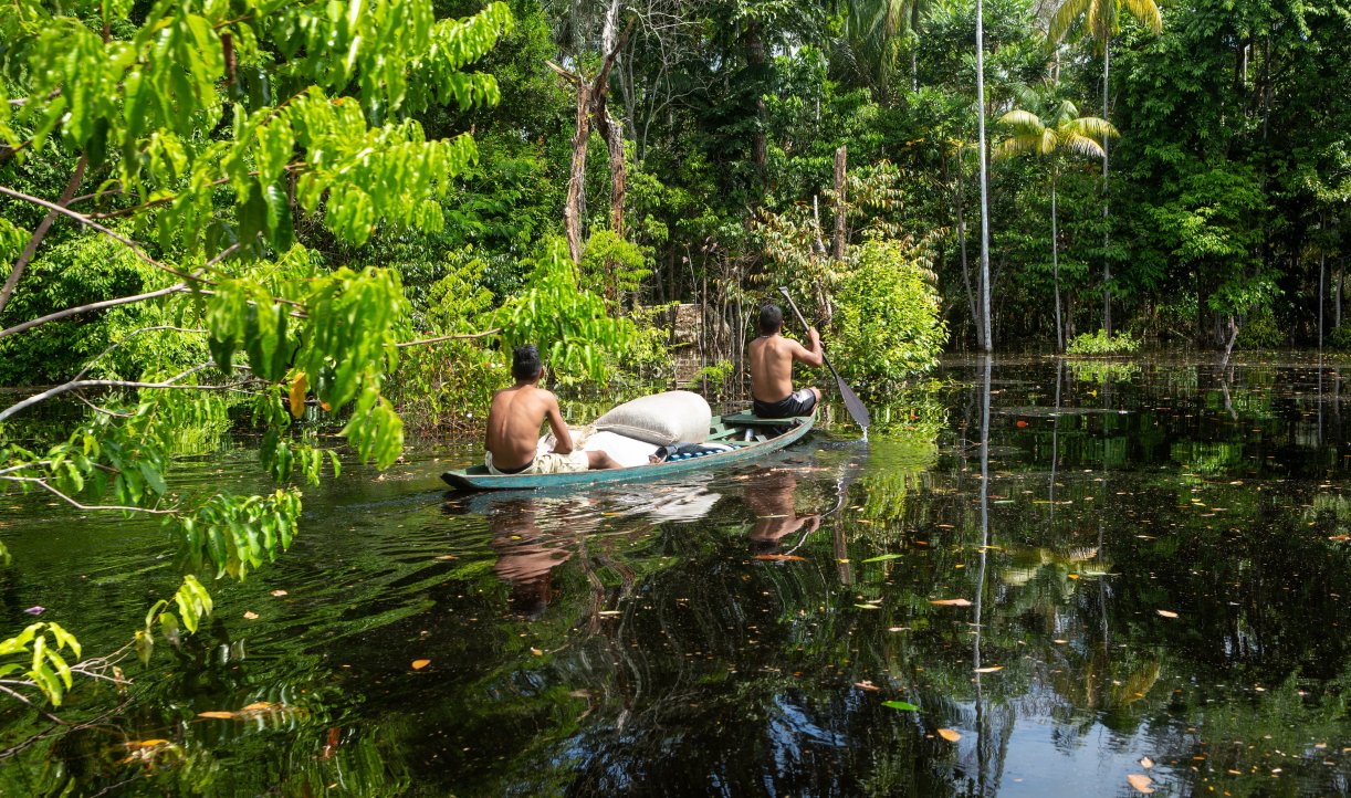 Recognizing Land Rights Is Key to Forest Protection and Climate
