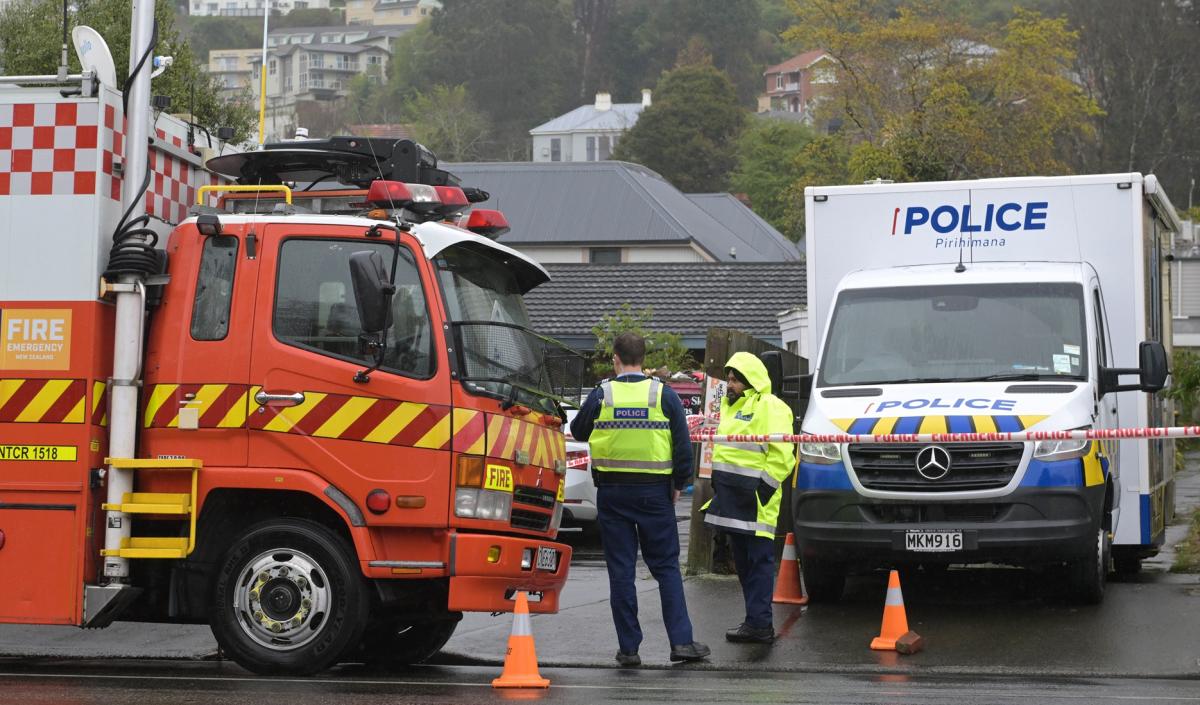 'Crucial information' sought in North Dunedin homicide probe