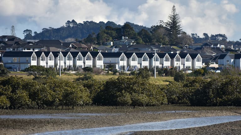 Houses in Auckland (file picture).