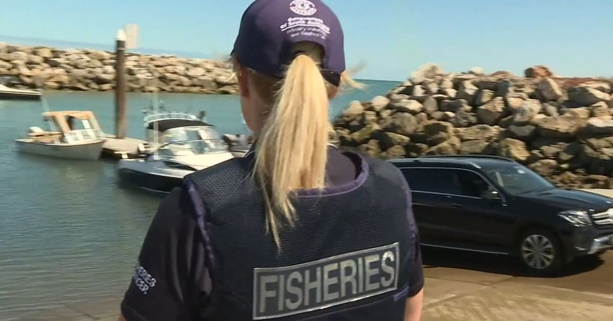 Fishers furious over new catch limits in South Australia