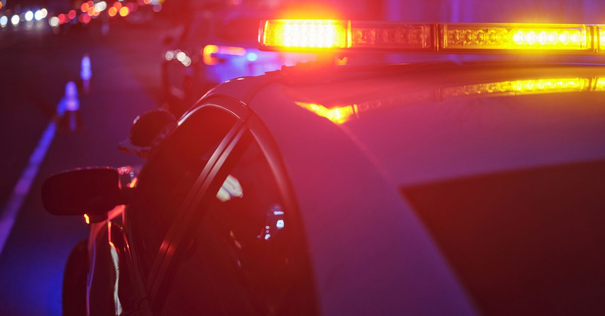 Collinsvale woman charged with attempted murder after firing shots at police executing search warrant