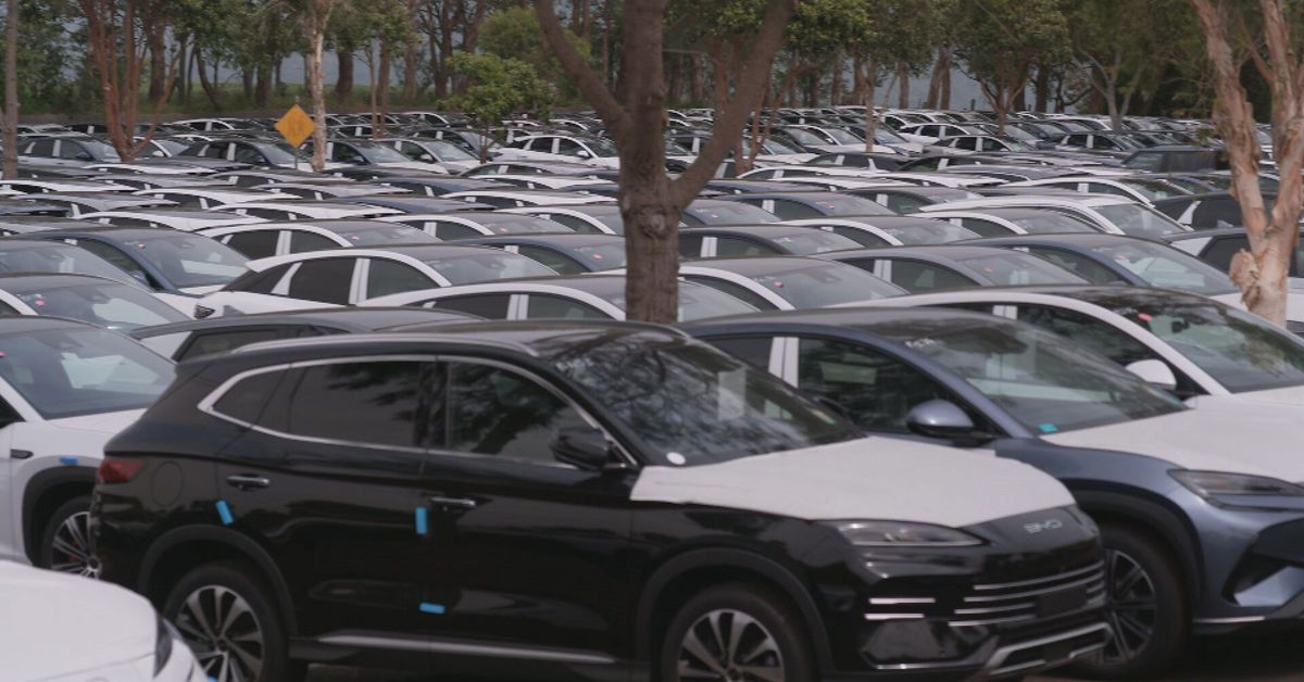 Adventure park battles local council over plans to continue storing BYD EVs during off-season