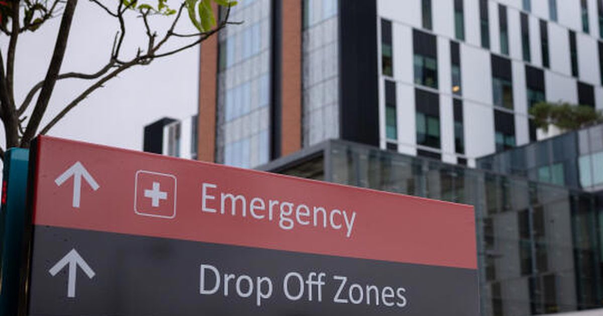 Wagga Wagga nurse banned over intimate relationship with vulnerable mental health patient