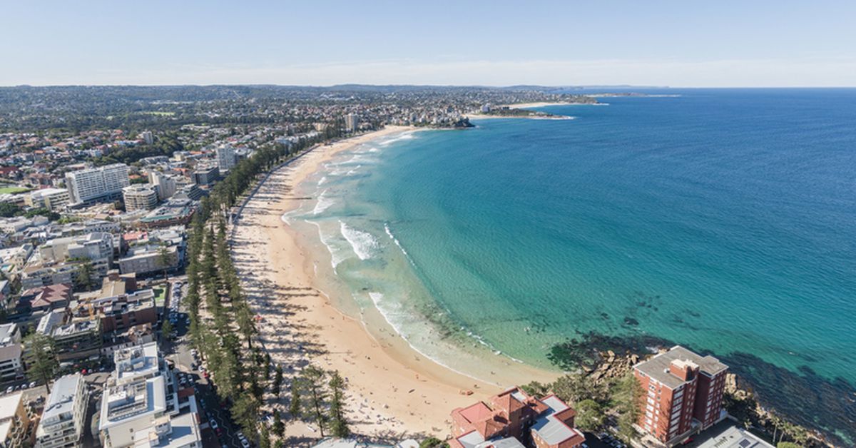 Beaches re-open after two separate sightings on Sydney's northern beaches