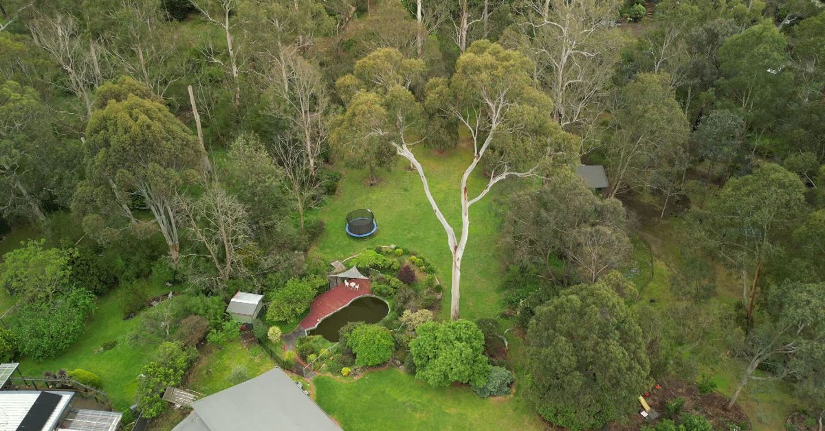 Man forced to pay almost $10,000 to remove dangerous tree from his backyard