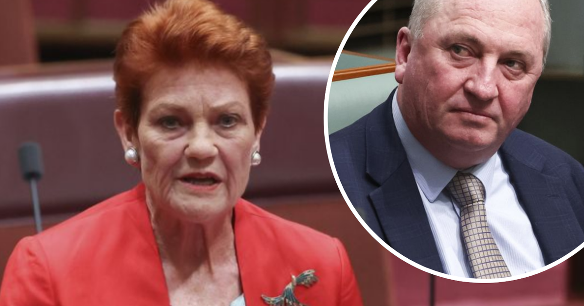 Pauline Hanson rubbishes claim Barnaby Joyce will lead One Nation