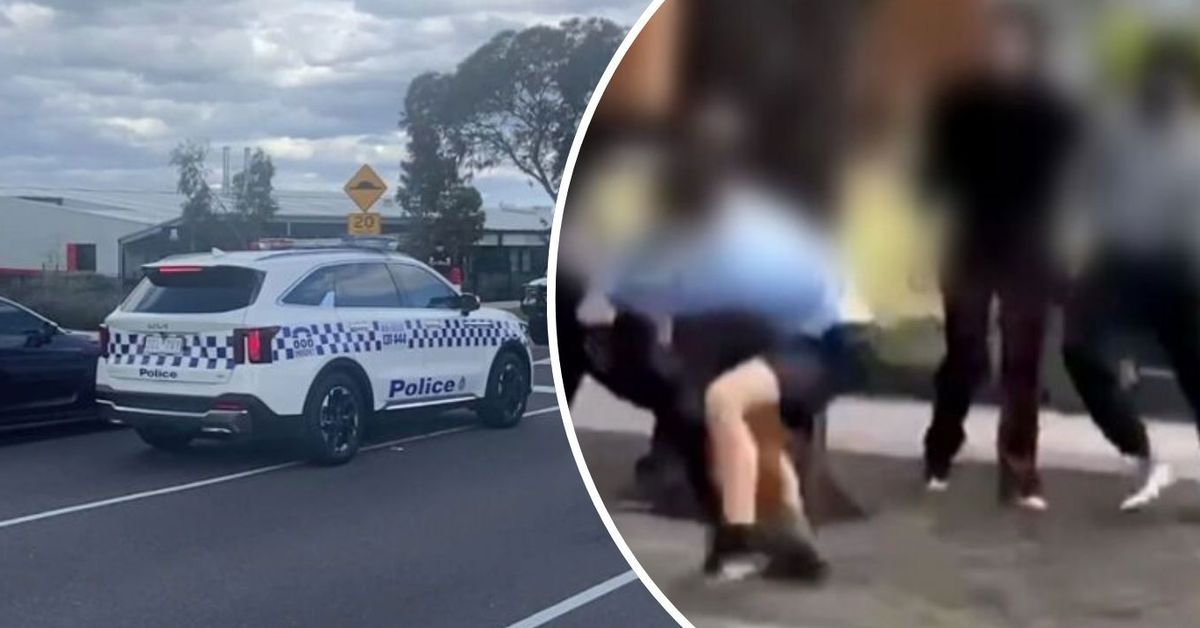 Masked offenders filmed allegedly attacking students outside Melbourne school