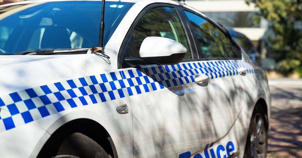 Dog euthanised after allegedly being attacked by group outside shopping centre