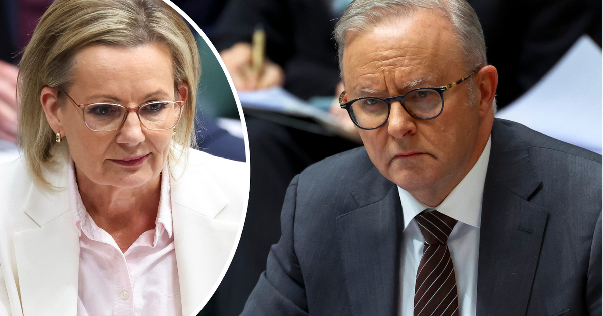 Sussan Ley wants apology from prime minister for wearing popular band's tee