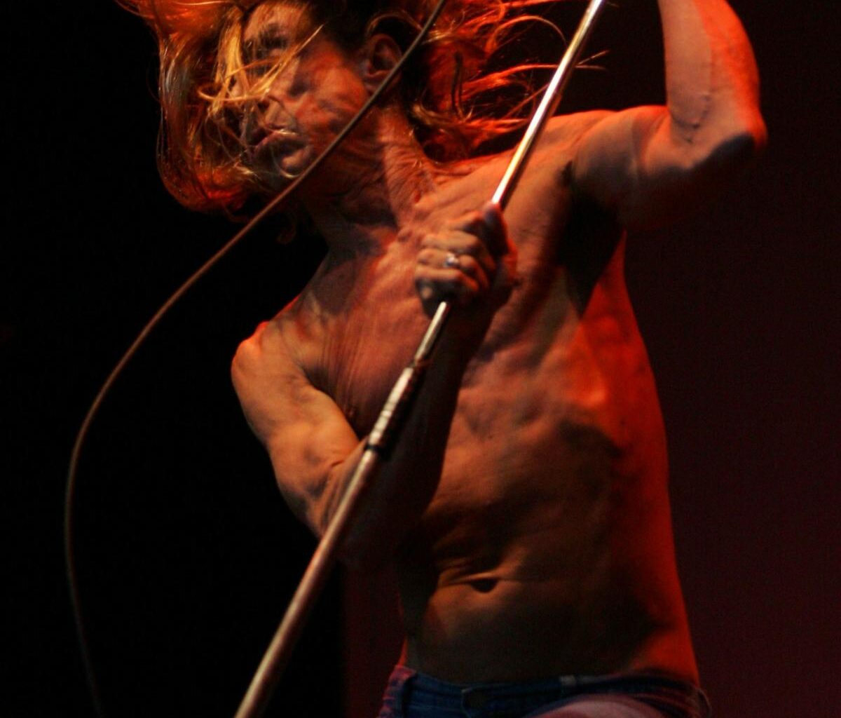 Iggy Pop, Joan Jett on concert bill