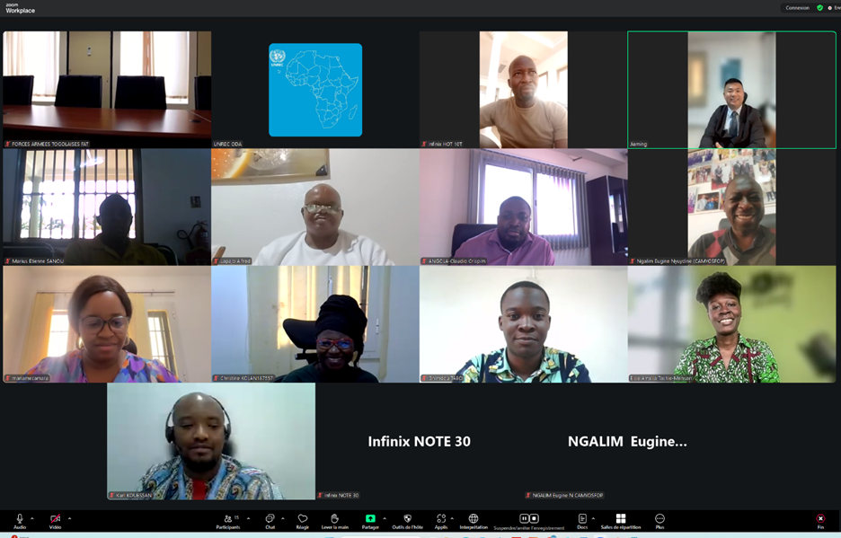 UNREC Convenes Webinar on “Rebalancing Security for Sustainable Development”