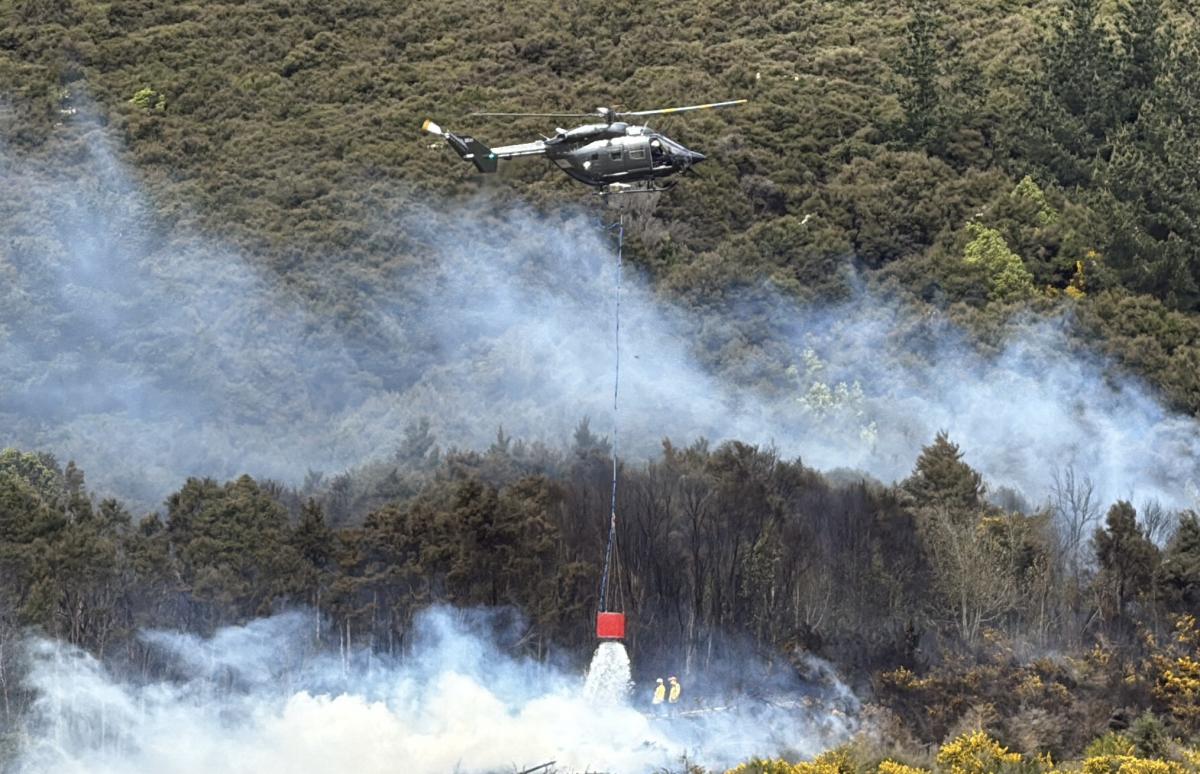 Vegetation fire threatened structure near Waitati