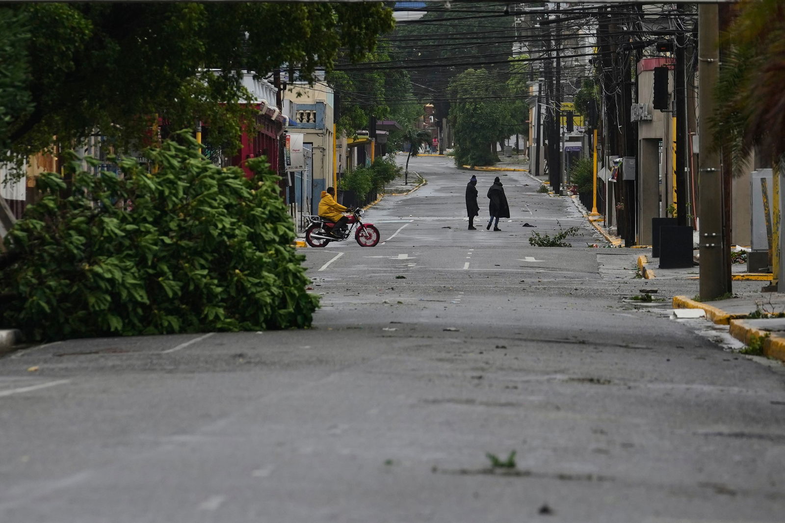 A rainy street with trees and branches strewn across it.